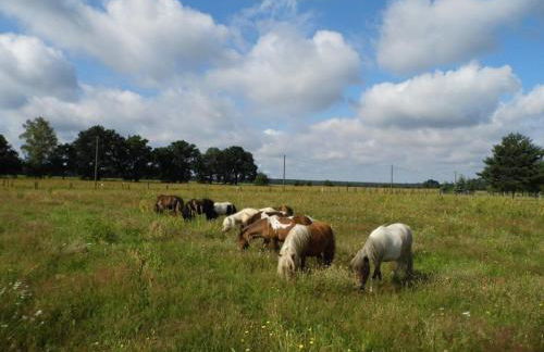 Ferienhaus Lagenhof! Keine Monteure! - Foto 22