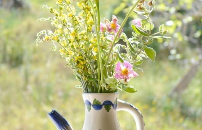 Country cozy house with pool Mallorca - Foto 21