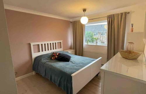 Milan Casa - Foto 28