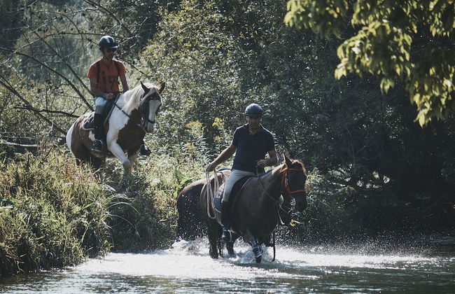 Holiday House Podhamer Marijan - Foto 49