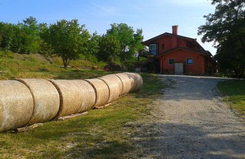 Bosco Romagno - Foto 43