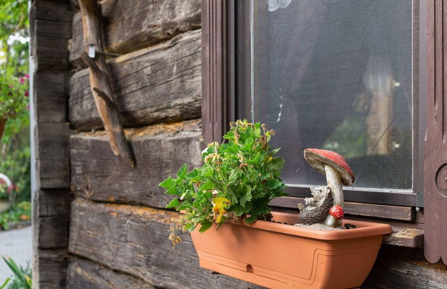 Holiday Home in the Forest - Foto 16