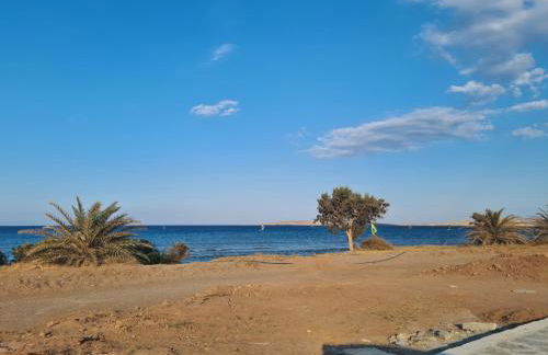 Olivar Suites - Photo 30