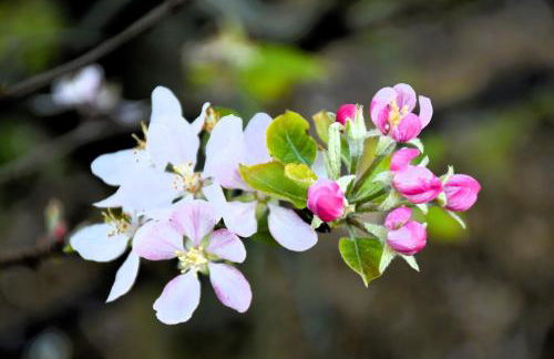 Serenity Views, Silver Coast, PT - Foto 50