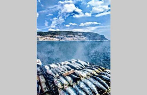 Páteo da Memória Casa do Pintor - Foto 43