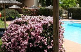 Agriturismo Bonzalone - Foto 12