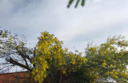 ospitalità rurale la Svizzera 2 - Foto 6