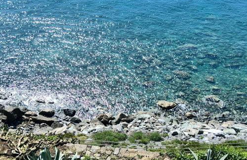 LIle dAzur - Foto 46