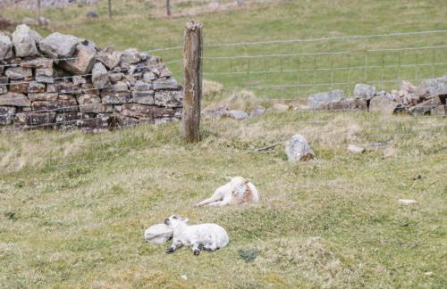 Aqueduct Cottage - Photo 38