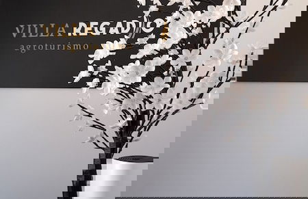 Villa Regadio - Foto 23