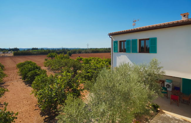 Son Vivot - Photo 62