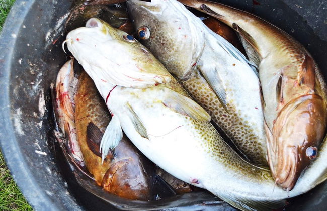 11 Person Holiday Home in Fjortoft-by Traum - Photo 67