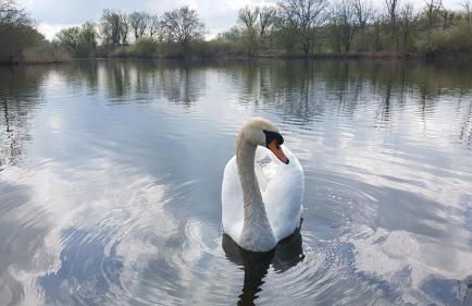 Villa Belvedere - Foto 36