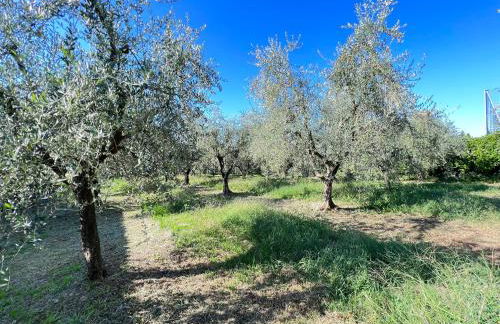 Villa Anna with pool and lift - Foto 19