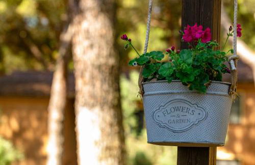 Residence Ristorante Il Paradiso - Foto 15