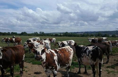 Gîte Gîtes de France® - Le Petit Marin - Foto 27