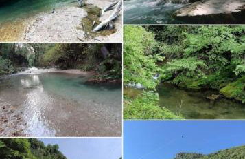 Coccinella house - Foto 8