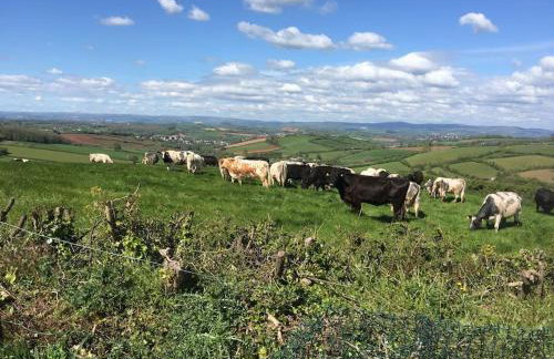 Dog friendly, Roof top hot tub, Panoramic views. - Foto 12