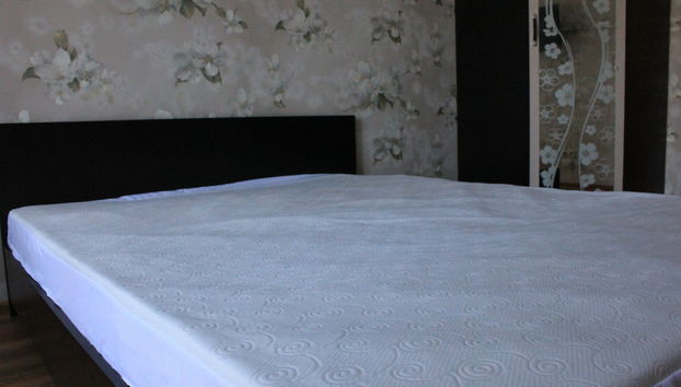 Apartment on Tulpanov St. 1-3 - Foto 4, Habitación