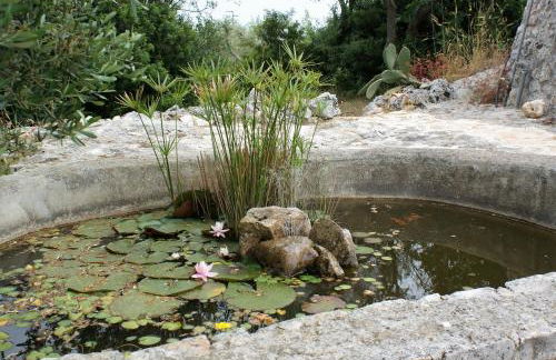 Trulli Eutopia - Foto 28