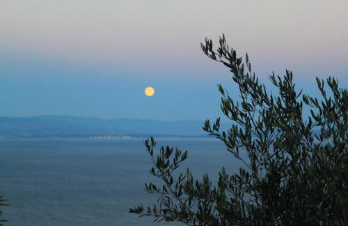 Apartment Kyra - Foto 17