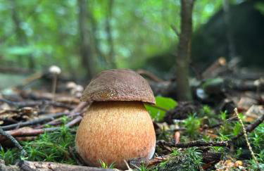 Bąbelkowa Chata Beskidy Domek z Balią Jacuzzi - Foto 25