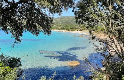 Piccula Casa - Foto 34