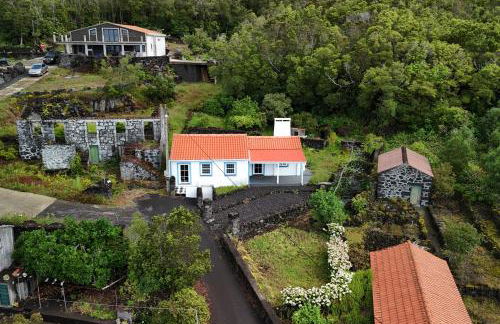 Casa da Mãe - Entre o Pico e a Maré - Photo 44