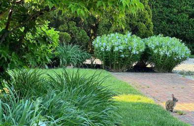 Stunning luxury Retreat I Wineries & Fall Farm Fun - Photo 55