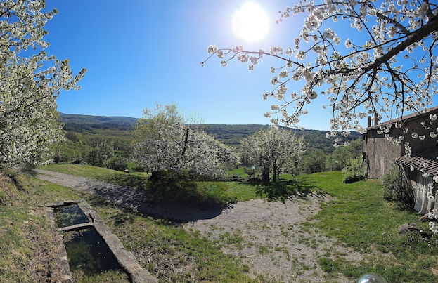 - Agriturismo La Piaggia - Forest View Apartment on the Ground Floor 2 Guests - Foto 12