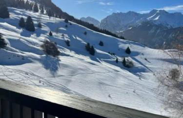 Chalet Le lagopède - Foto 1