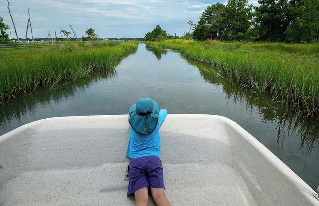 Key West Cottages - Photo 41