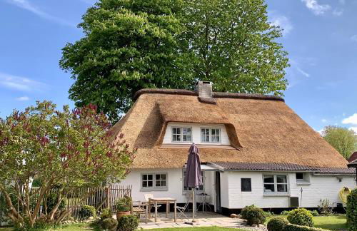 Ferienhaus Tade Bo - Photo 1