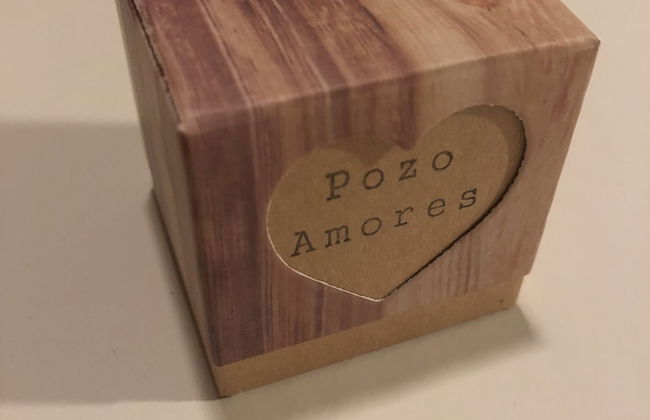 Pozo Amores - Foto 16