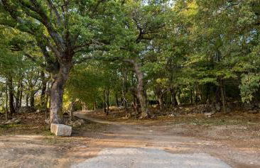 La Sorgente del Radicino - Foto 17