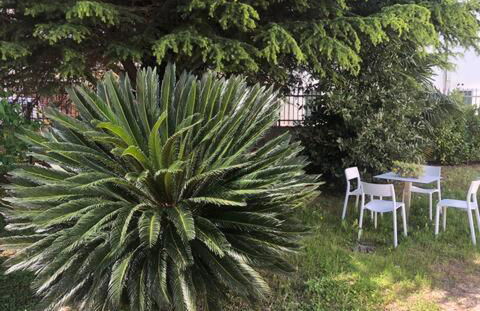 dimora scaldaferro - Photo 32