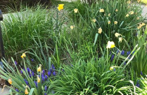 Beautiful Luxury Suite B of Shorewood Home - Foto 8