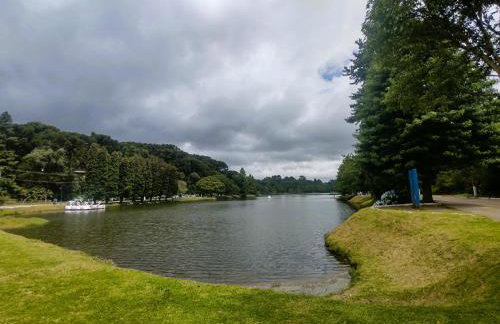 Cabanas Pôr do Sol - São Chico - Foto 58