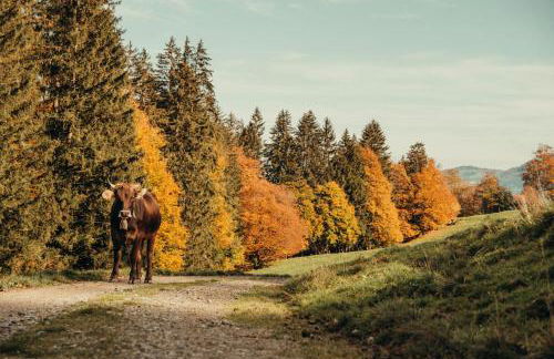 Hochwertige Alpenchalets Allgäu - Photo 26