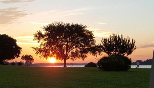 Lake Vibes with Champagne Views - Photo 3