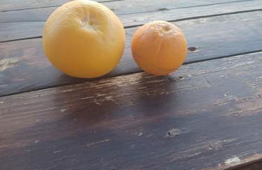 Finca Rolani,beheizbarer Pool, absolut Privat - Foto 80