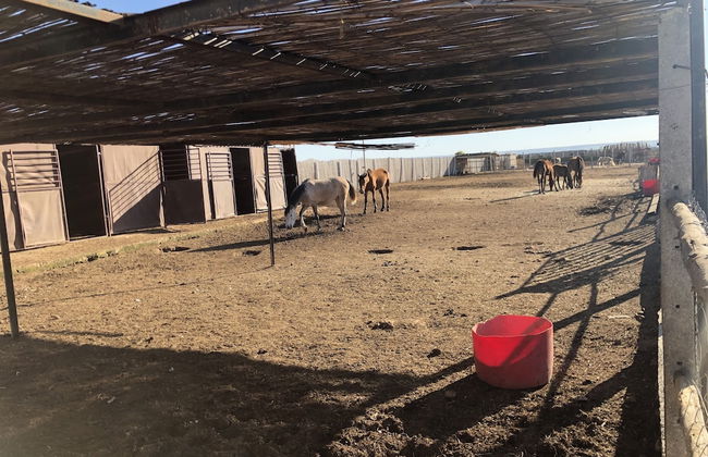 Bio et Bois - Foto 61