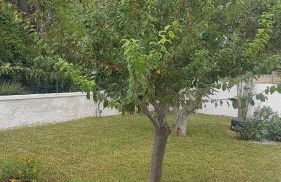 A casa di Rosy - Foto 4