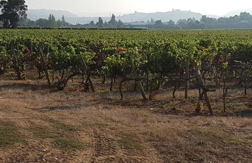 Casas do Patheo - Foto 25