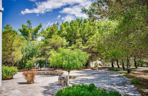 Torre Casciani - Foto 152