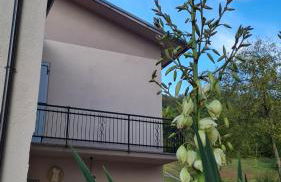 Tana della Lavanda - Photo 79