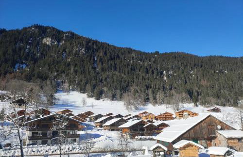 Studio Châtel Secteur Linga Proche Pistes - Foto 12