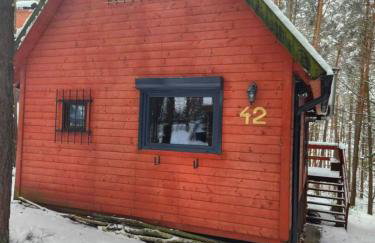 Domek w lesie przy jeziorze Kamień - Photo 4