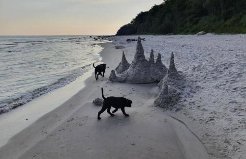 Ferienresidenz Kap Arkona - Whn. 15 - - Foto 18