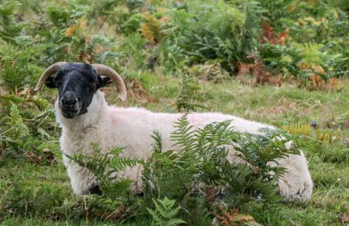 The Outlook - Foto 20